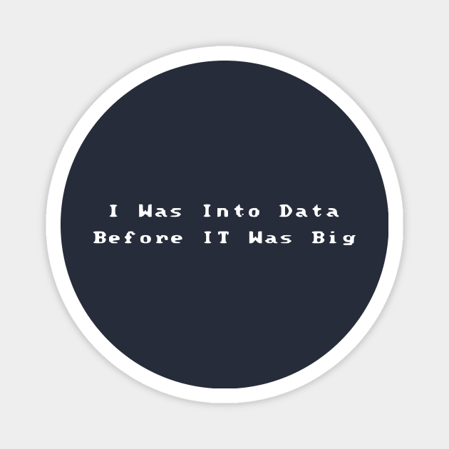 I Was Into Data Before It Was Big Magnet by Humorable